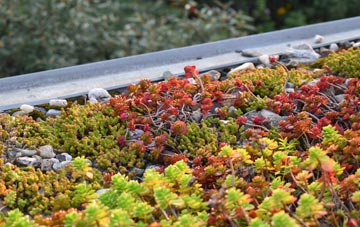 the cost of Rooks Hill green roof installation