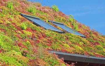 Rooks Hill living roof systems