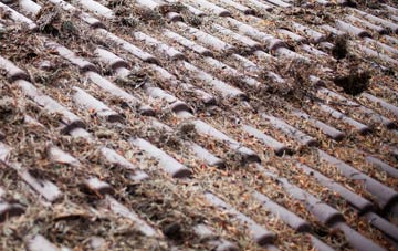 Rooks Hill roof cleaning companies