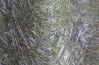 Rooks Hill fibreglass roof work